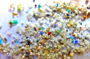 microbeads-5-5gyres-plastic-microbead-detail-0-0